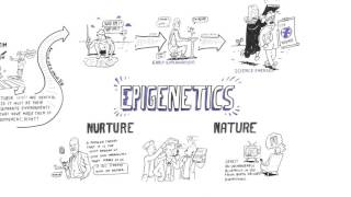 Epigenetics 101  Dr Bruce Lipton PhD [upl. by Adorne]