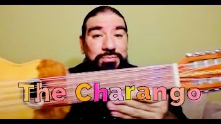 How To Play the Charango  Music Lesson for Kids [upl. by Zerat]