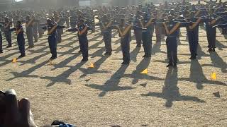 Tshwane SAPS Academy 2015 intake PT display [upl. by Enidlareg430]