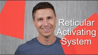 Reticular Activating System [upl. by Cirdes]