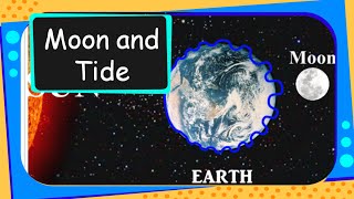 Science  Why Tides Occur  English [upl. by Keynes786]