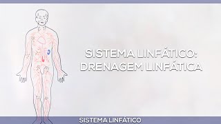 Sistema linfático drenagem linfática [upl. by Nagiem]