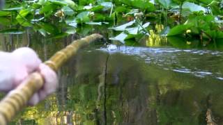 Jigger Pole Fishing in Ocklawaha River [upl. by Esbensen]