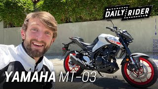 2020 Yamaha MT03 Review  Daily Rider [upl. by Annayat]