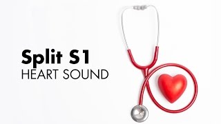 Split S1  Heart Sounds  MEDZCOOL [upl. by Breeze]