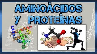 Biomoléculas Aminoácidos y proteínas [upl. by Naesar]