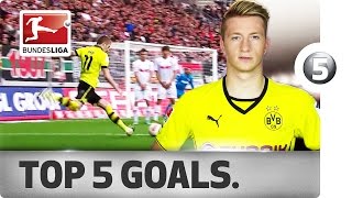 Marco Reus  Top 5 Goals [upl. by Cassey272]