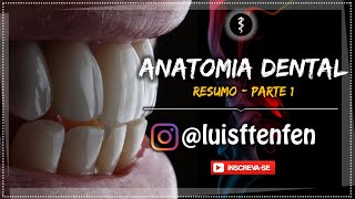 Anatomia Dental RESUMO Parte 1 [upl. by Brunell356]