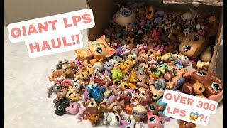 Littlest Pet Shop Toy Reviews [upl. by Hephzipah]