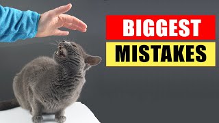 20 Common Mistakes Cat Owners Make [upl. by Yadahs494]