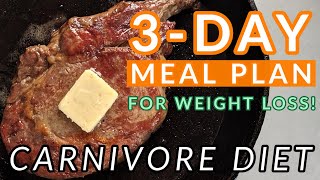 3Day Carnivore Diet Meal Plan FOR WEIGHT LOSS [upl. by Eldred]