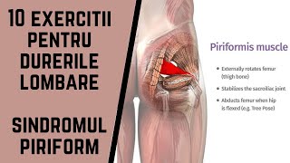 10 EXERCITII PENTRU DURERILE LOMBARE  MUSCHIUL PIRIFORM  Ovidiu Kurti [upl. by Claudy]