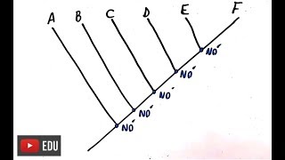 Sistemática Filogenética  Resumo Professor Gustavo [upl. by Yrrap366]