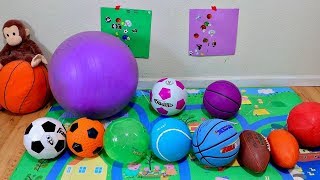 Learn Colors with Different Sports Ball for Baby and Toddlers [upl. by Imoyaba]