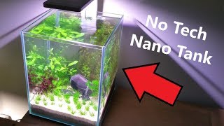 How to Betta Fish Tank No tech No Filter No Ferts No co2 [upl. by Aiden]