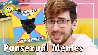 The Memes of Pansexual [upl. by Irdua164]