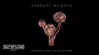 Ashbury Heights  Spectres From the Black Moss Official Lyric Video [upl. by Burchett863]