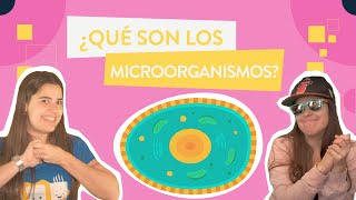 ¿Qué son los MICROORGANISMOS [upl. by Fisken]