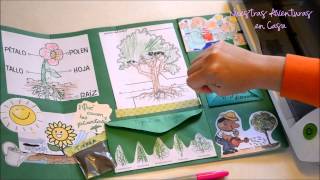 Lapbook Las Plantas [upl. by Leacock733]