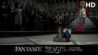 Fantastic Beasts and Where to Find Them 2016 Macusa HD [upl. by Nyletac479]