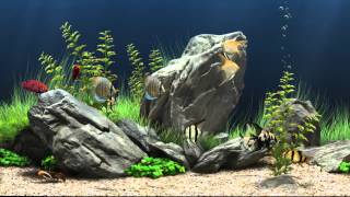 Dream Aquarium Virtual Fishtank 1 [upl. by Pimbley]