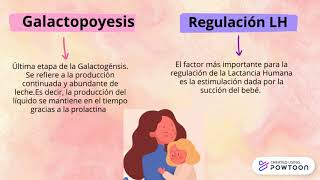 Fisiología de la Lactancia Humana [upl. by Camilia]