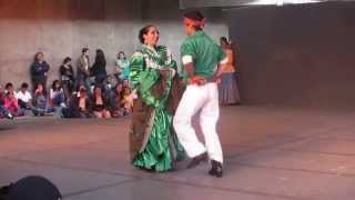 Ballet Folklórico Vini cubi  quot El gallitoquot Nayarit [upl. by Collyer104]