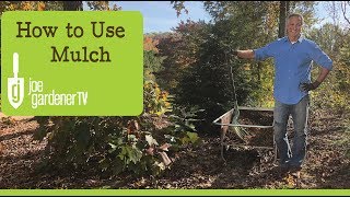 How to Use Mulch [upl. by Kciwdahc]