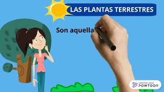 PLANTAS ACUÁTICAS TERRESTRES Y AEROTERRESTRES PARA NIÑOS [upl. by Rutherford]