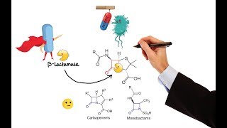 Pharmacology – ANTIBIOTICS – CELL WALL amp MEMBRANE INHIBITORS MADE EASY [upl. by Florence280]