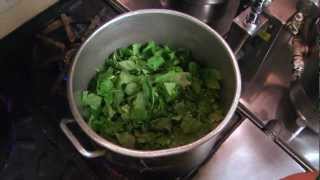 How to Make Loveless Cafes Turnip Greens [upl. by Abert]