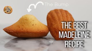 The ultimate brown butter madeleine recipe [upl. by Levi]