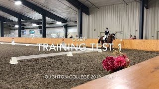 USDF Training Level Test 1 With Judges Scores amp Comments [upl. by Bobbye278]