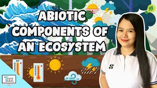 Abiotic Components of an Ecosystem  Biology [upl. by Hayidan]