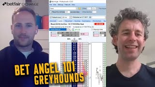 Bet Angel 101 Betting on Greyhound Racing Using ThirdParty Tools [upl. by Meave]