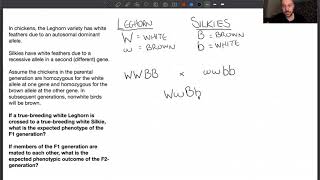 Solving epistasis problems [upl. by Binny502]