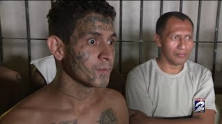 KPRC2s Jacob Rascon shares a closer look at the deadly MS13 gang [upl. by Lohrman51]