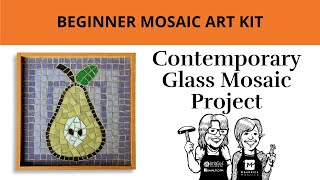 Beginner Mosaic Art Kit Contemporary Glass Mosaic Project [upl. by Sheffie]