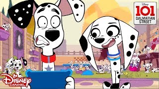 Cleaning  Animals vs Humans  101 Dalmatian Street  Disney Channel Africa [upl. by Burroughs]