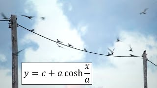 Hyperbolic Functions Catenary Example 4 Arc Length [upl. by Ahseyi191]