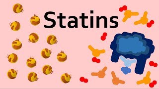 Statins and Cholesterol [upl. by Paulita]