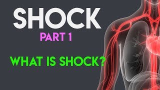 What Is Shock  Shock Pathophysiology  Shock Part 1 [upl. by Cad]