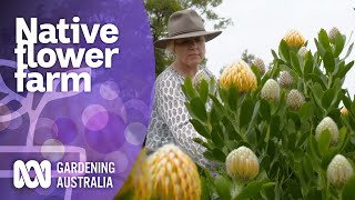 Growing native flowers on a large scale  Native Australian Plants  Gardening Australia [upl. by Kasey233]