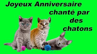 Joyeux Anniversaire chanté par des chats [upl. by Odlaw]