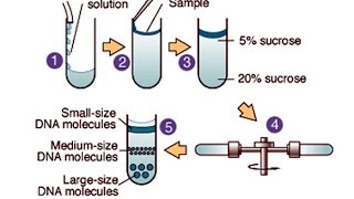 Centrifugation [upl. by Just]