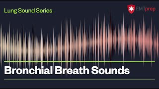 Bronchial Breath Sounds  EMTprepcom [upl. by Woodson]