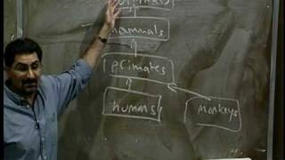 Lecture 4  Programming Methodology Stanford [upl. by Leitao]