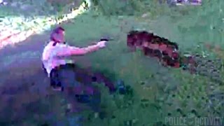 Bodycam Video Shows Deputy Shooting Charging Pit Bull [upl. by Fridell785]