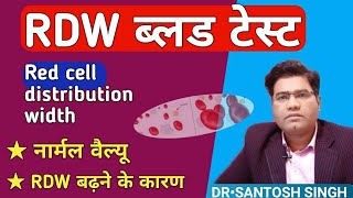 What is RDW blood test in Hindi  RED CELL DISTRIBUTION WIDTH  Cause of High level [upl. by Naveb279]