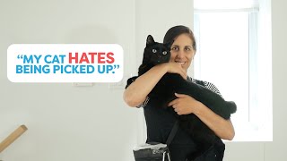 Teach Your Cat To Enjoy Being Picked Up [upl. by Craner]